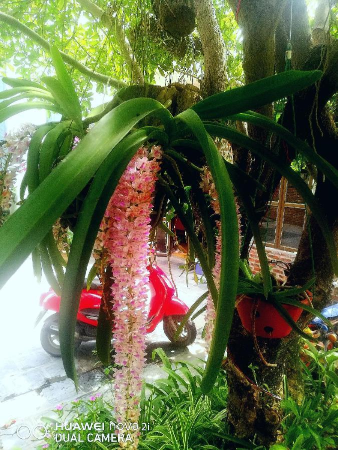 Tamcoc Mr. Cau Homestay Ninh Binh Eksteriør bilde